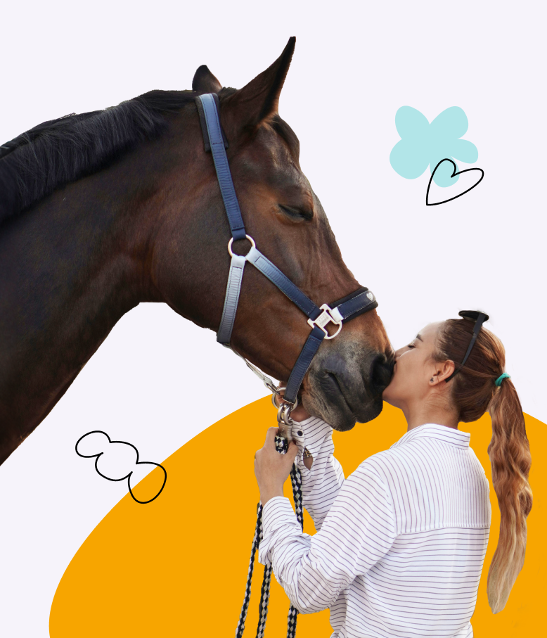 Equine Pharmacy Get Horse Medicine Delivered Mixlab